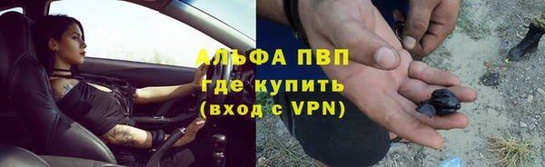 амф Алексин