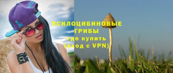 прущий лед Алексеевка