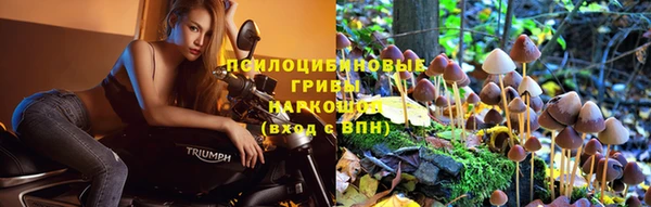 амф Алексин