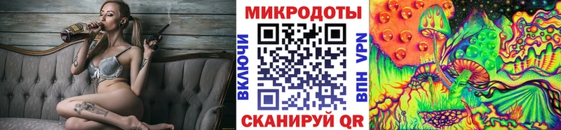 Купить  Черняховск  Псилоцибиновые грибы Psilocybe 